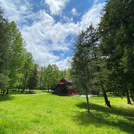 Shadow Mountain Escape Cabin Rentals Luray Esterno foto