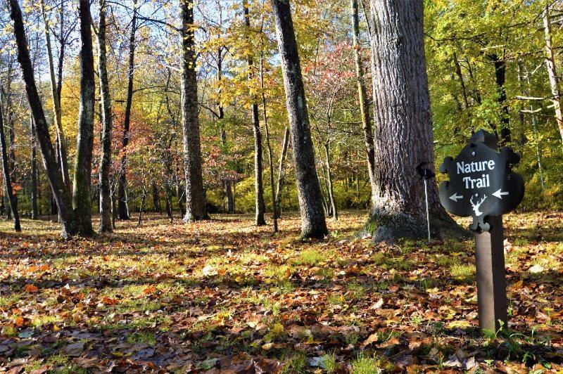 Shadow Mountain Escape Cabin Rentals Luray Esterno foto